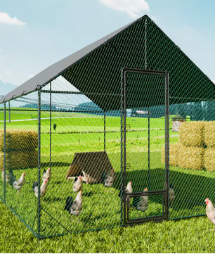 Grote Metalen Kippenren met Dak – Buitenren voor Kippen en Pluimvee