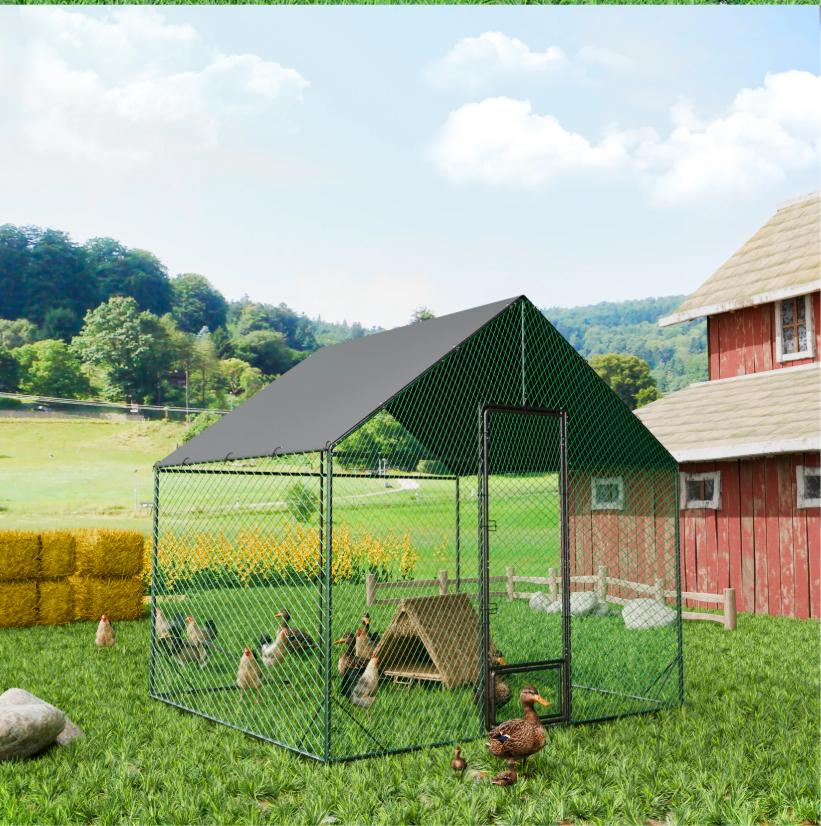 Grote Metalen Kippenren met Dak – Buitenren voor Kippen en Pluimvee