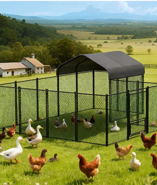 Grote Kippenren met Dak – Metalen Walk-in Buitenren voor Pluimvee
