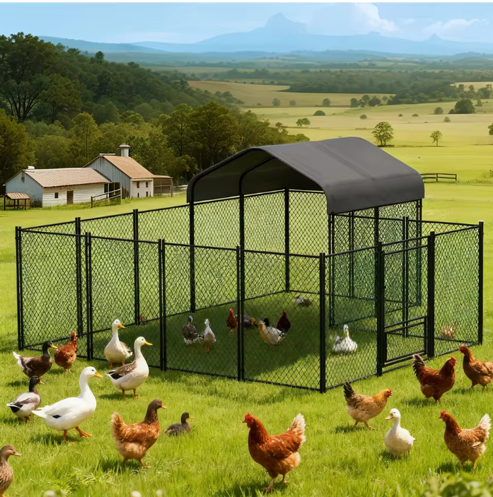 Grote Kippenren met Dak – Metalen Walk-in Buitenren voor Pluimvee