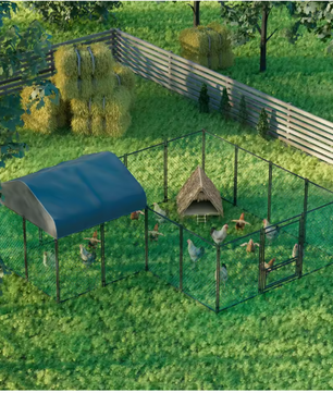 Grote Kippenren met Dak – Metalen Walk-in Buitenren voor Pluimvee