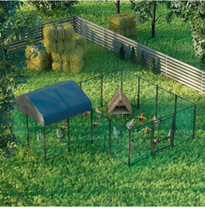 Grote Kippenren met Dak – Metalen Walk-in Buitenren voor Pluimvee