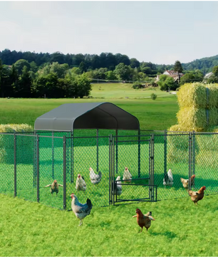 Grote Kippenren met Dak – Metalen Walk-in Buitenren voor Pluimvee