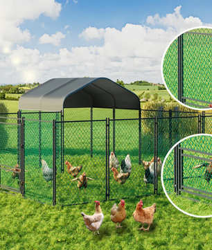 Grote Kippenren met Dak – Metalen Walk-in Buitenren voor Pluimvee