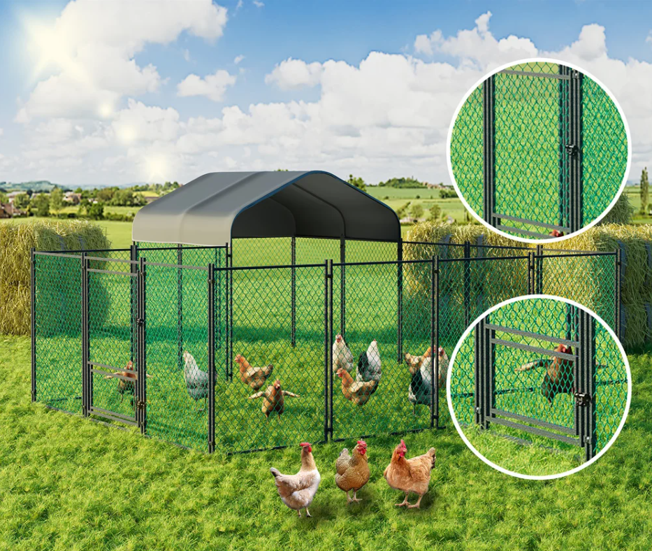 Grote Kippenren met Dak – Metalen Walk-in Buitenren voor Pluimvee