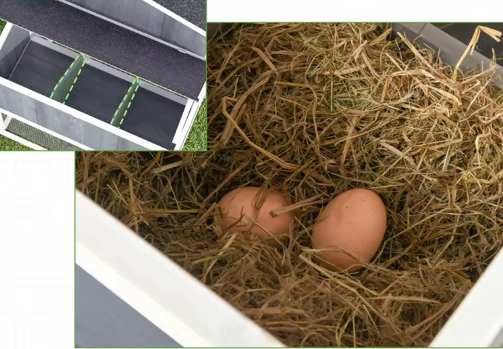 Houten Kippenhok met Legnest en Ren – Buitenverblijf voor 3–4 Kippen