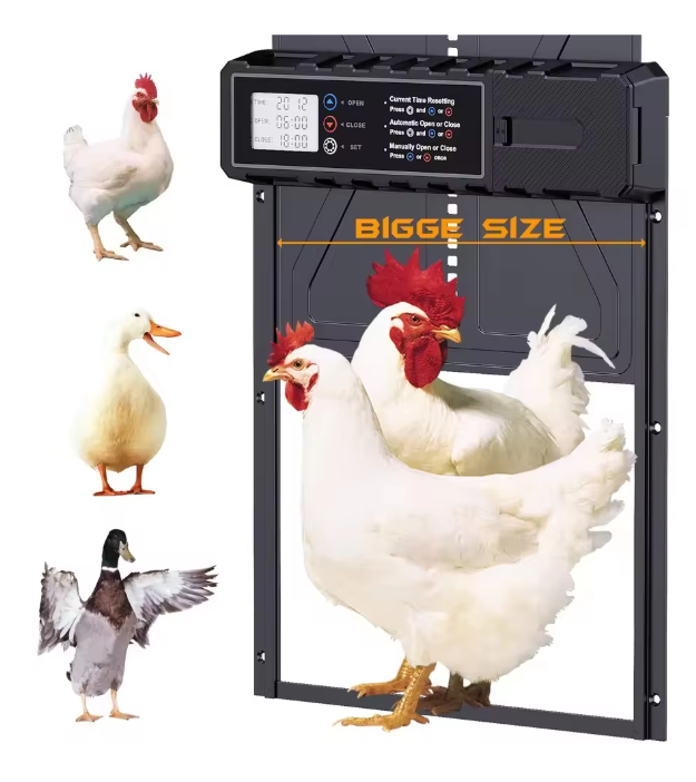 Automatische Kippenhok Deur met Timer – Elektrische Aluminium Kippendeur voor Pluimvee