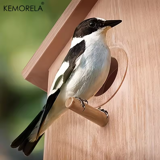 Vogelbroedkast met Kijkvenster – Nestkast voor Parkieten, Papegaaien en Liefdesvogels