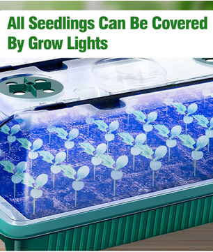 Set van 2 Startbakken voor Zaden met Ontkiemingsset – 80 Cellen, Hoge Koepel, 4 LED-Kweeklampen, Slimme Timer en 3 Lichtmodi