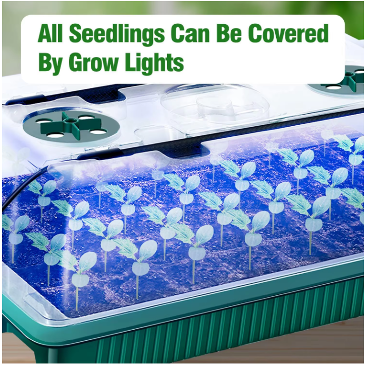Set van 2 Startbakken voor Zaden met Ontkiemingsset – 80 Cellen, Hoge Koepel, 4 LED-Kweeklampen, Slimme Timer en 3 Lichtmodi