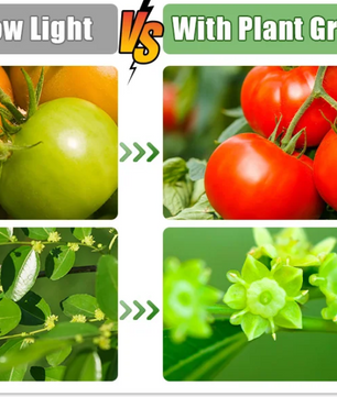 Set van 2 Startbakken voor Zaden met Ontkiemingsset – 80 Cellen, Hoge Koepel, 4 LED-Kweeklampen, Slimme Timer en 3 Lichtmodi