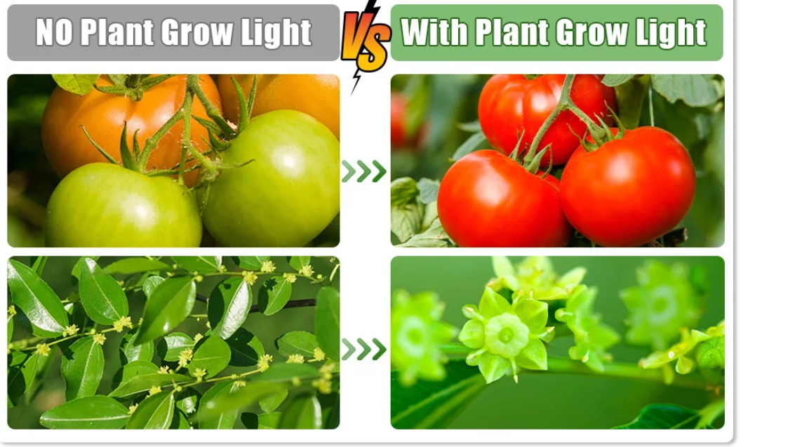 Set van 2 Startbakken voor Zaden met Ontkiemingsset – 80 Cellen, Hoge Koepel, 4 LED-Kweeklampen, Slimme Timer en 3 Lichtmodi