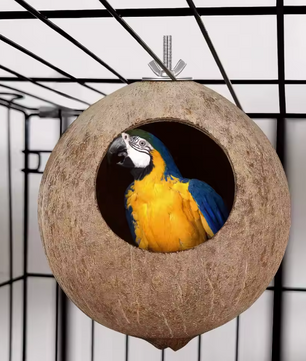 Kokosnoot Vogelnest – Natuurlijk Hangend Nesthuis voor Kleine Vogels