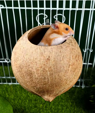 Kokosnoot Vogelnest – Natuurlijk Hangend Nesthuis voor Kleine Vogels