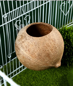 Kokosnoot Vogelnest – Natuurlijk Hangend Nesthuis voor Kleine Vogels