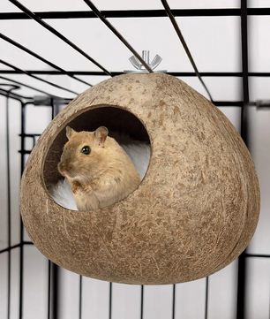 Kokosnoot Vogelnest – Natuurlijk Hangend Nesthuis voor Kleine Vogels