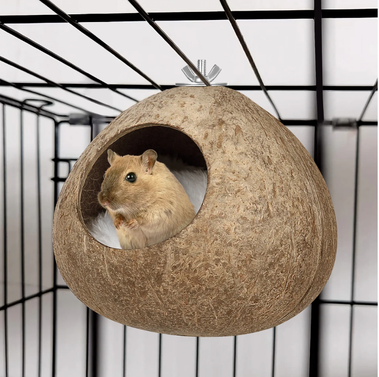 Kokosnoot Vogelnest – Natuurlijk Hangend Nesthuis voor Kleine Vogels