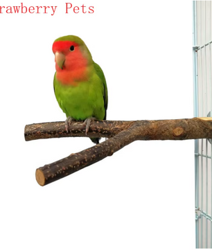 Natuurlijke Houten Vogel Zitstok – Boomtak Zitstok voor Papegaaien en Parkieten