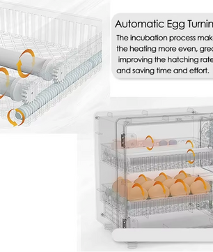 24 Eieren Broedmachine – Volautomatische Incubator met Touchscreen en Temperatuurregeling