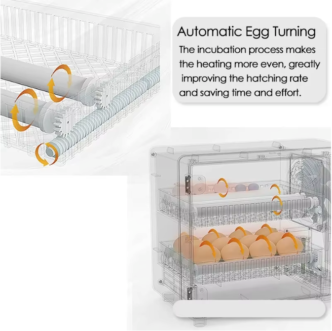 24 Eieren Broedmachine – Volautomatische Incubator met Touchscreen en Temperatuurregeling