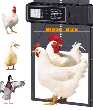 Automatische Kippenhok Deur – Aluminium Elektrische Hokdeur met Timer en Display