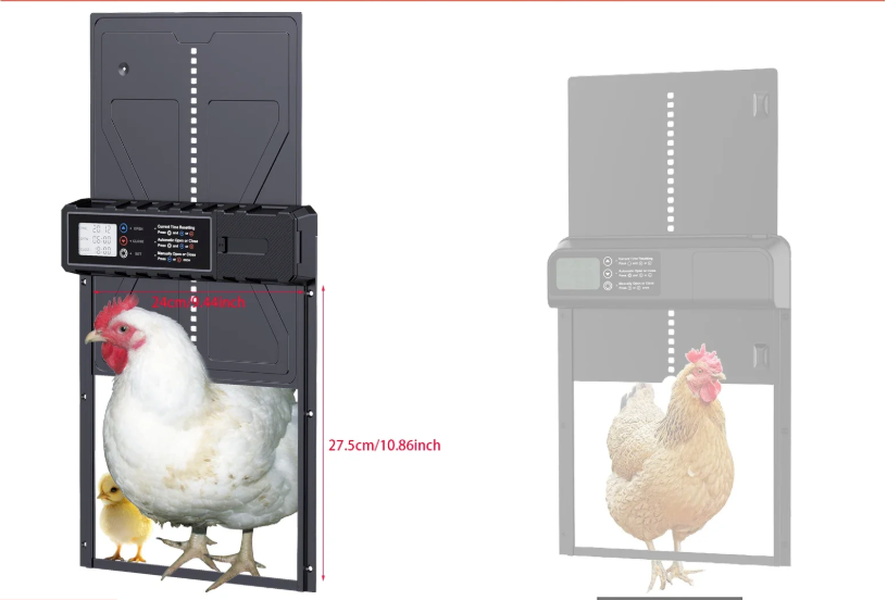 Automatische Kippenhok Deur – Aluminium Elektrische Hokdeur met Timer en Display