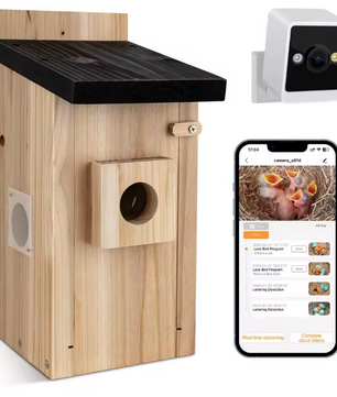 Vogelhuis met Camera en Nachtzicht – Houten Nestkast voor Vogelobservatie