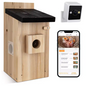 Vogelhuis met Camera en Nachtzicht – Houten Nestkast voor Vogelobservatie