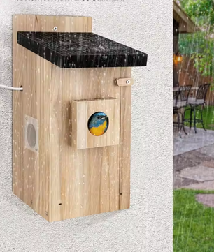Vogelhuis met Camera en Nachtzicht – Houten Nestkast voor Vogelobservatie