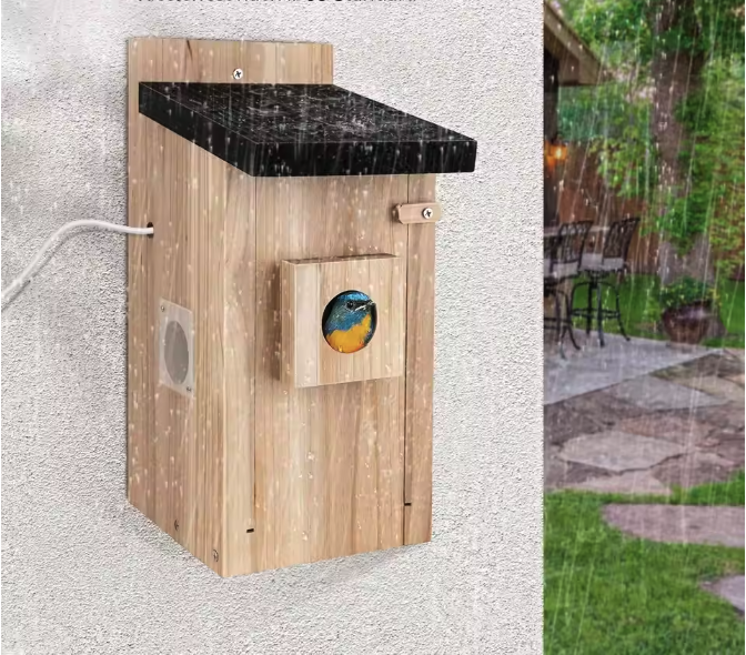 Vogelhuis met Camera en Nachtzicht – Houten Nestkast voor Vogelobservatie