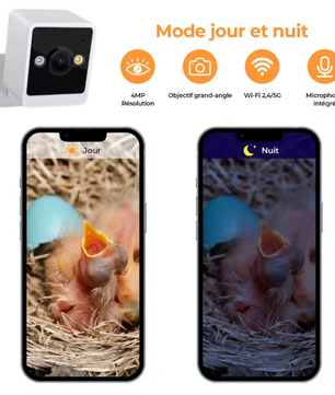 Vogelhuis met Camera en Nachtzicht – Houten Nestkast voor Vogelobservatie