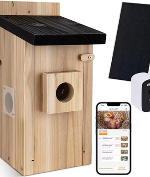 Vogelhuis met Camera en Nachtzicht – Houten Nestkast voor Vogelobservatie