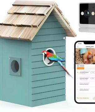 Vogelhuis met Camera en Nachtzicht – Houten Nestkast voor Vogelobservatie