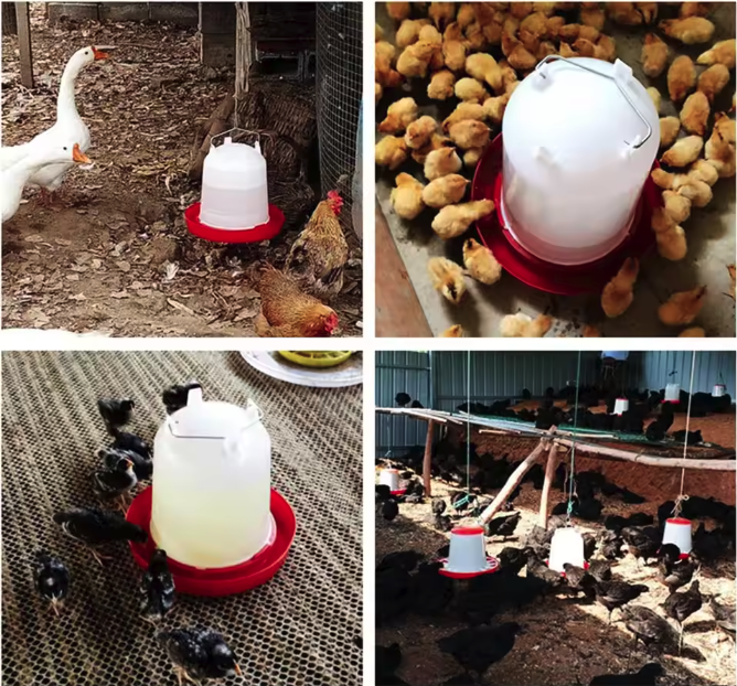 Automatische Kip Waterdispenser 3L – Pluimvee Drinkemmer voor Kippen en Vogels