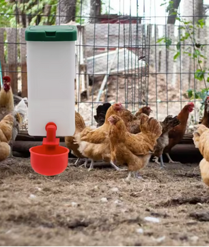 Konijnen Drinkfles 1000 ml met Drinkbak – Automatische Waterdispenser voor Konijnen, Kippen en Eenden