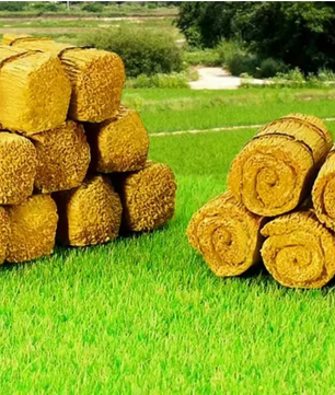 Set van 3 Mini Hooibalen – Miniatuur Strobalen voor Boerderij en Tuindecoratie