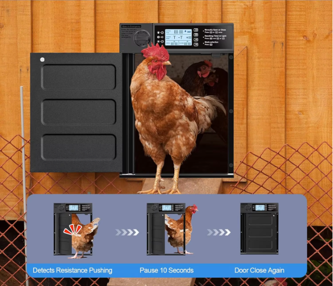 Automatische Kippenhokdeur op Zonne-energie – Hokdeur met Timer en Lichtsensor