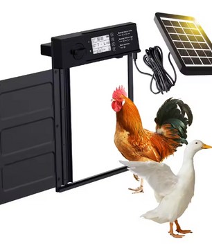 Automatische Kippenhokdeur op Zonne-energie – Hokdeur met Timer en Lichtsensor