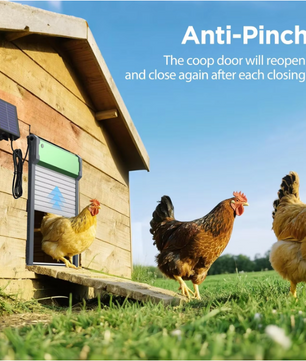 Automatische Kippenhokdeur op Zonne-energie – Hokdeur met Timer en Lichtsensor