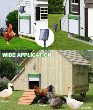 Automatische Kippenhokdeur op Zonne-energie – Hokdeur met Timer en Lichtsensor
