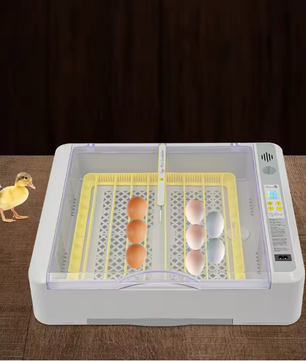 36 Eieren Broedmachine – Automatische Incubator met LED Display en Eierdraaisysteem
