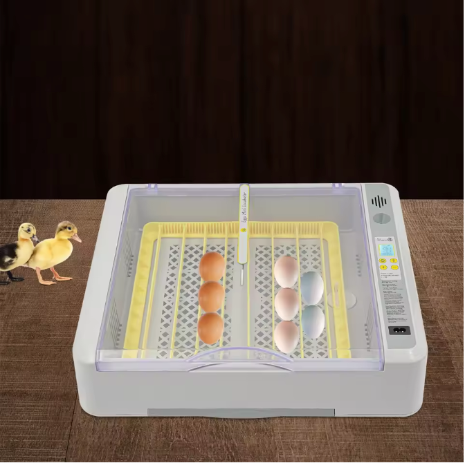 36 Eieren Broedmachine – Automatische Incubator met LED Display en Eierdraaisysteem