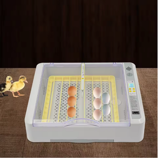 36 Eieren Broedmachine – Automatische Incubator met LED Display en Eierdraaisysteem