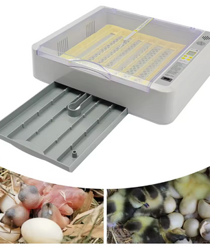 36 Eieren Broedmachine – Automatische Incubator met LED Display en Eierdraaisysteem