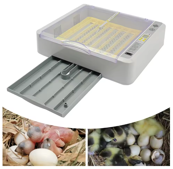 36 Eieren Broedmachine – Automatische Incubator met LED Display en Eierdraaisysteem