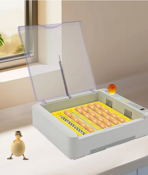 36 Eieren Broedmachine – Automatische Incubator met LED Display en Eierdraaisysteem