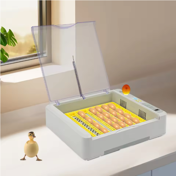36 Eieren Broedmachine – Automatische Incubator met LED Display en Eierdraaisysteem