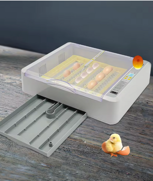 36 Eieren Broedmachine – Automatische Incubator met LED Display en Eierdraaisysteem
