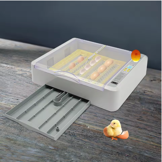 36 Eieren Broedmachine – Automatische Incubator met LED Display en Eierdraaisysteem
