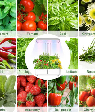 Slim Hydrocultuur Kweeksysteem met LED Groeilamp – WiFi Indoor Kruidentuin met Zelfbewatering